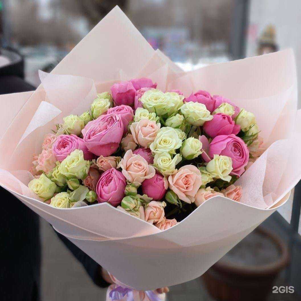 Отзывы на компанию Bona mente в г. Волгоград c фото