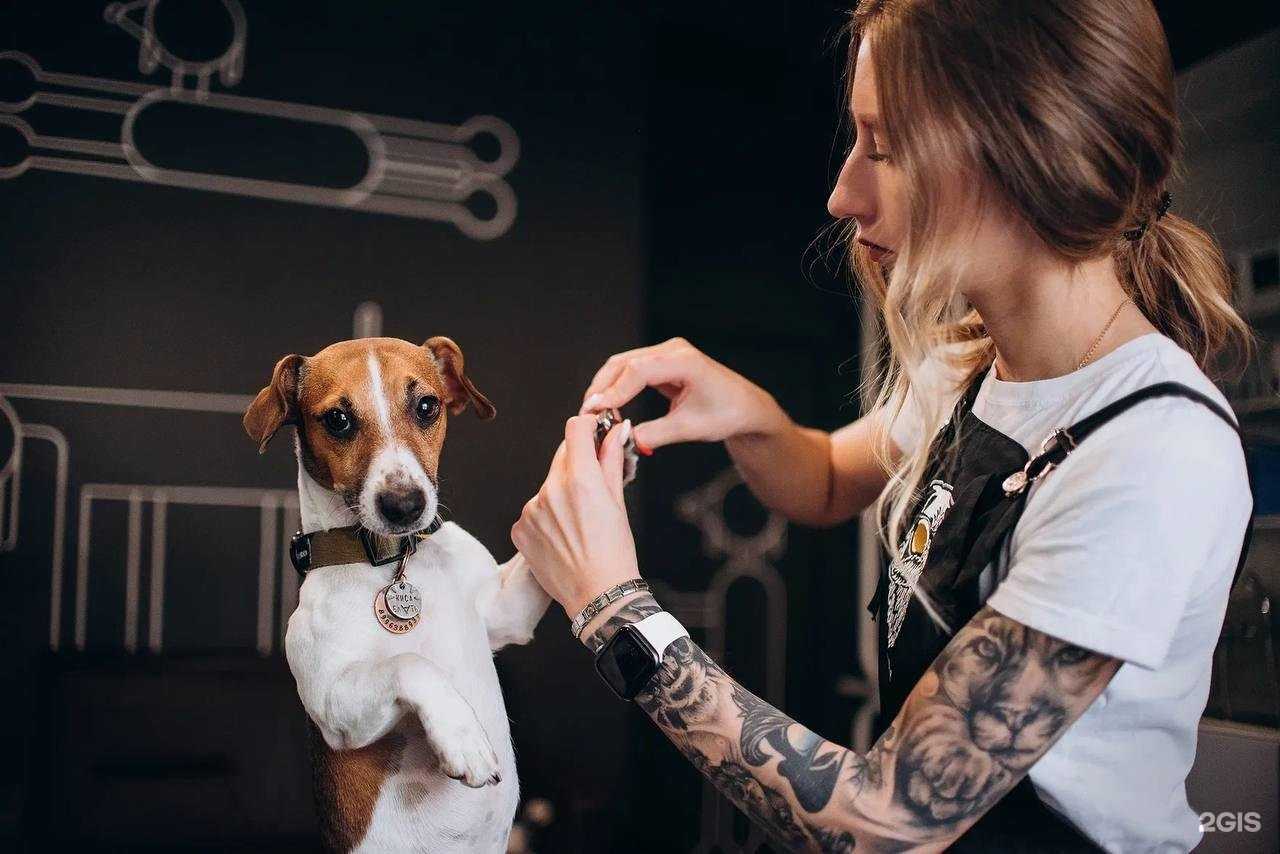 Отзывы на компанию Barberdog в Уфе c фото