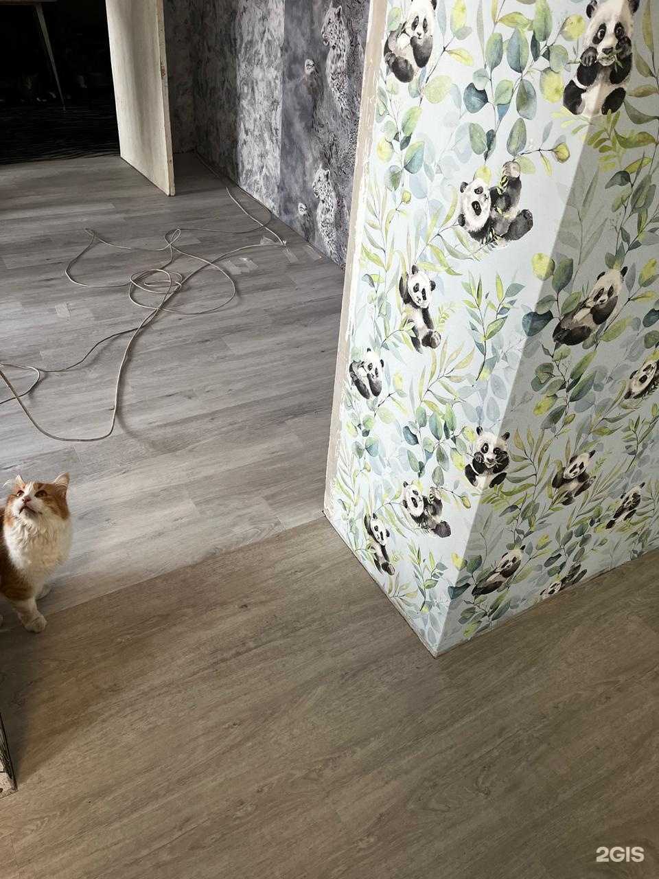 Отзывы на компанию Линолеум в г. Саратов c фото