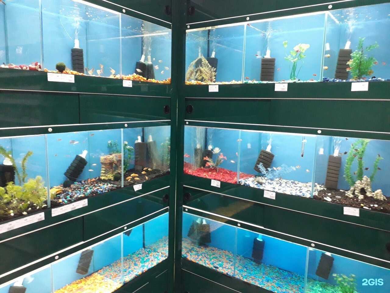 Отзывы на компанию Зоомаркет в Челябинске c фото