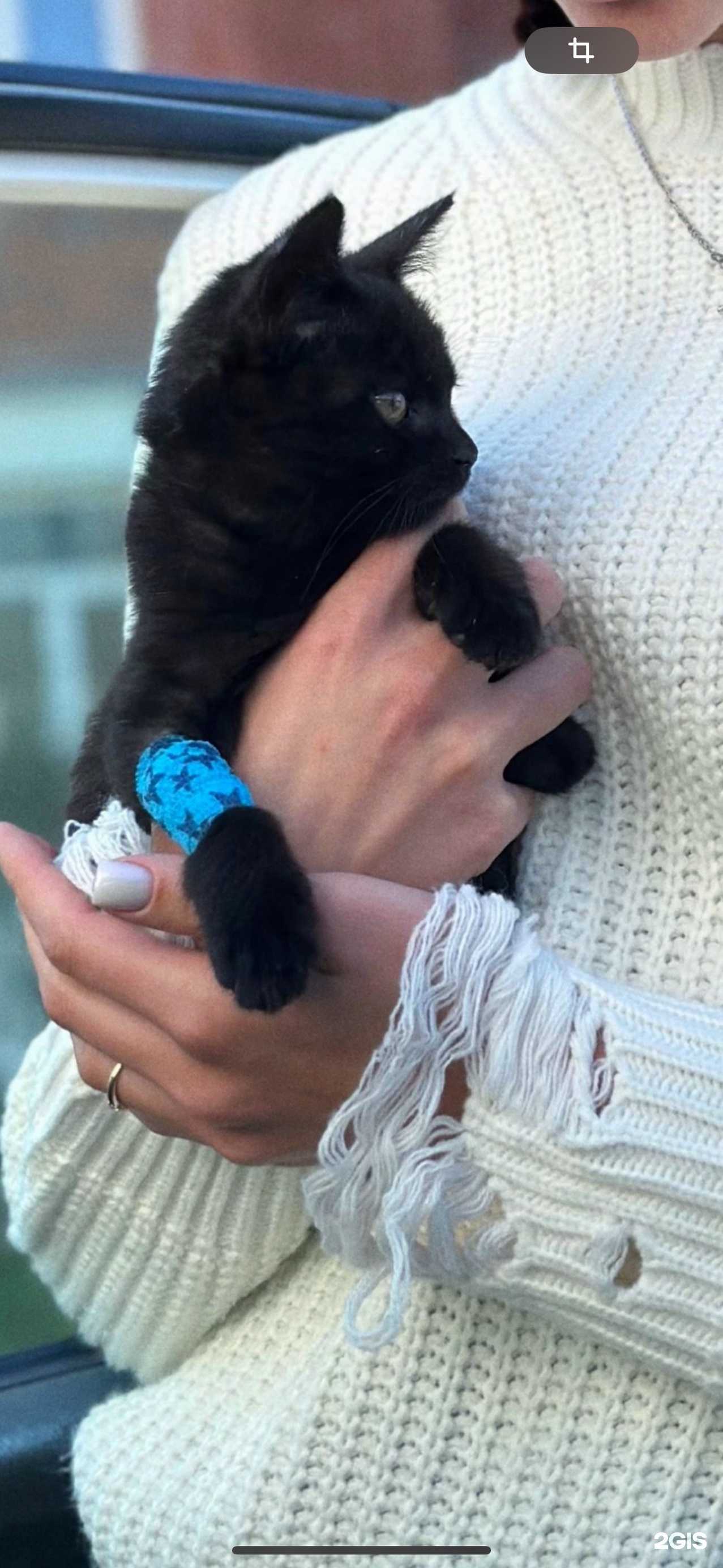 Отзывы на компанию Здравушка в Фокине c фото