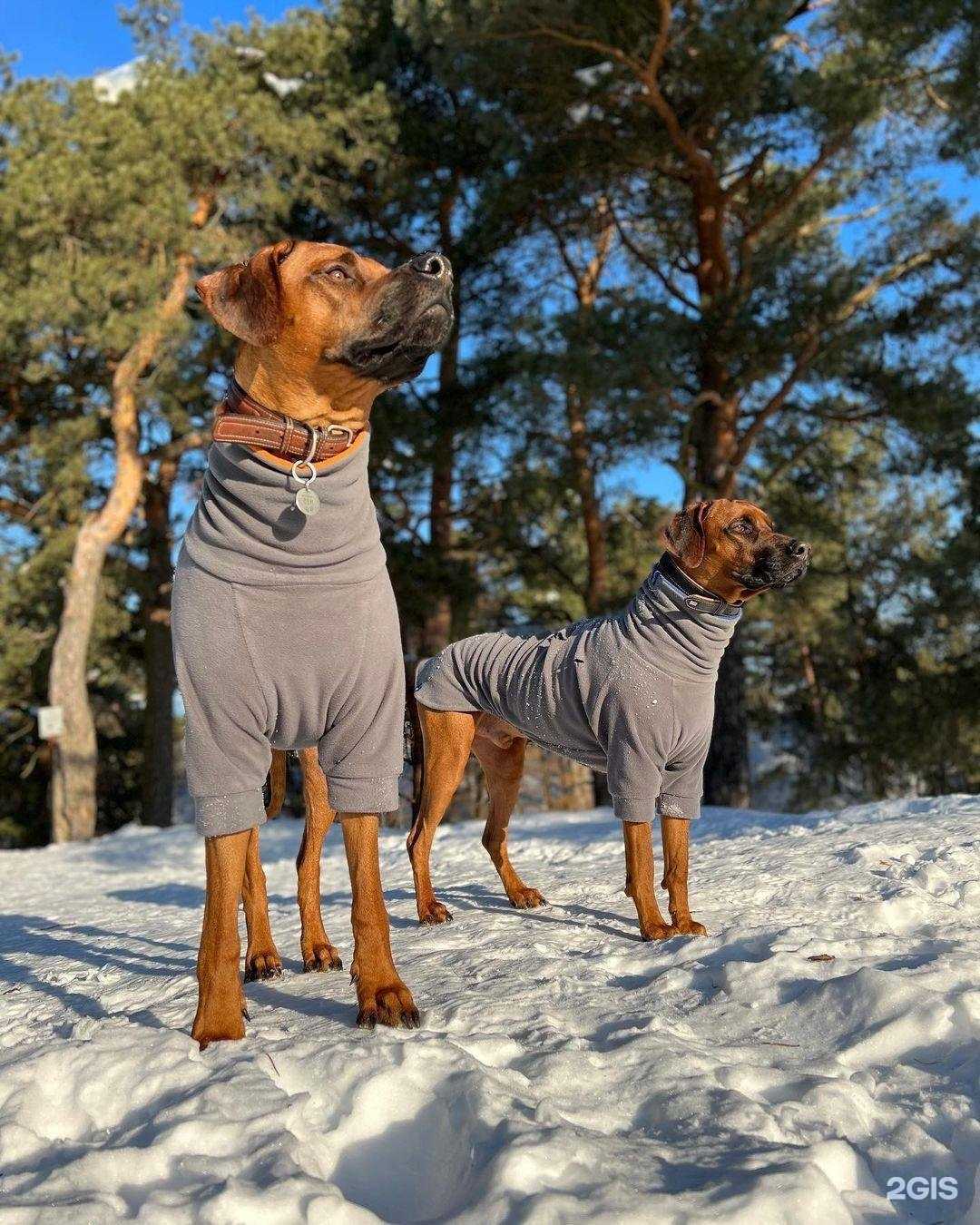 Отзывы на компанию Собачье счастье в Одинцове c фото