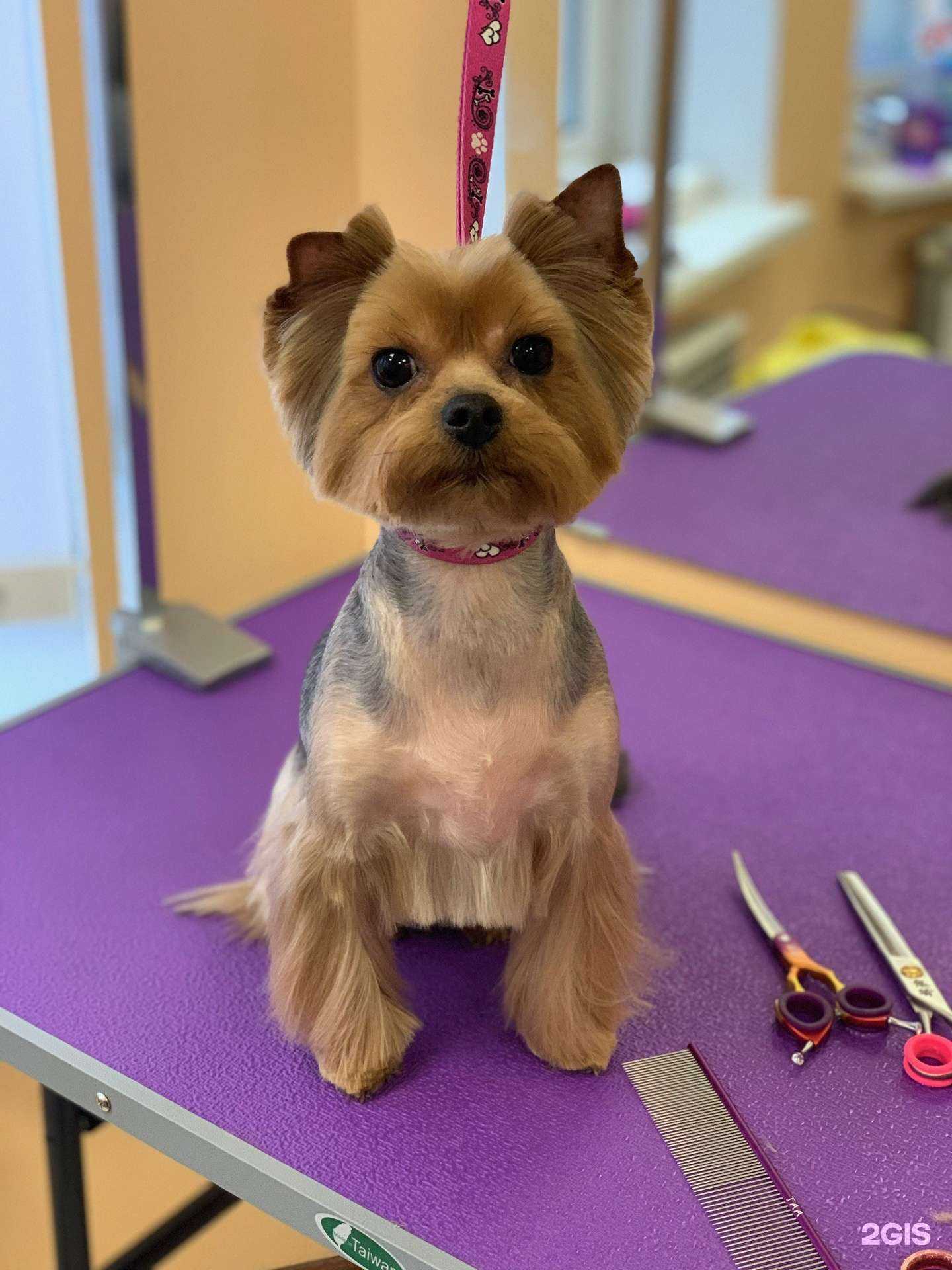 Отзывы на компанию Милана в г. Апрелевка c фото