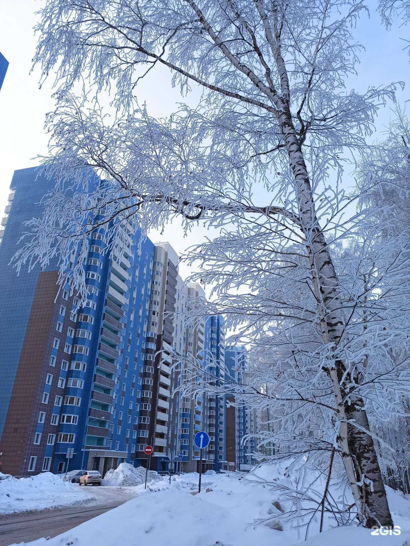 Отзывы на компанию Чио Чио в Казани c фото - фотография 2 из 2