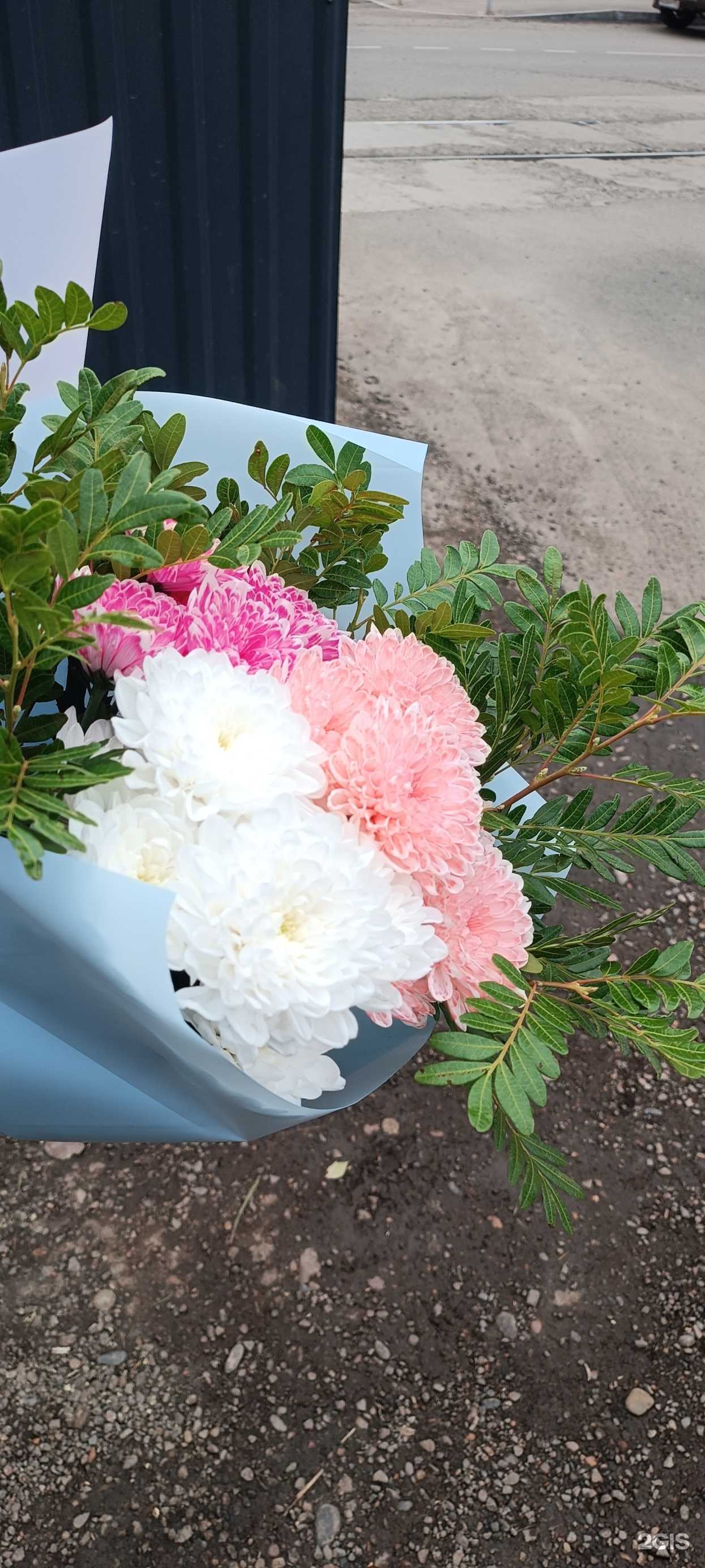 Отзывы на компанию Белый Клевер в г. Красноярск c фото