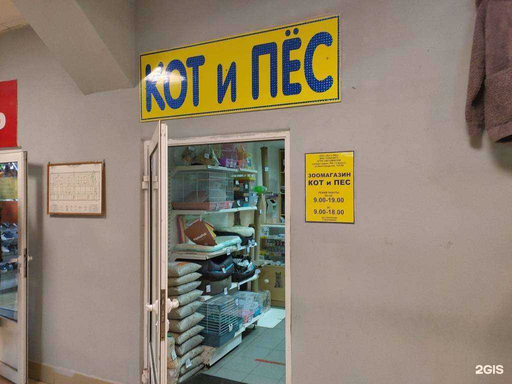Отзывы на компанию Кот и Пес в Саранске c фото