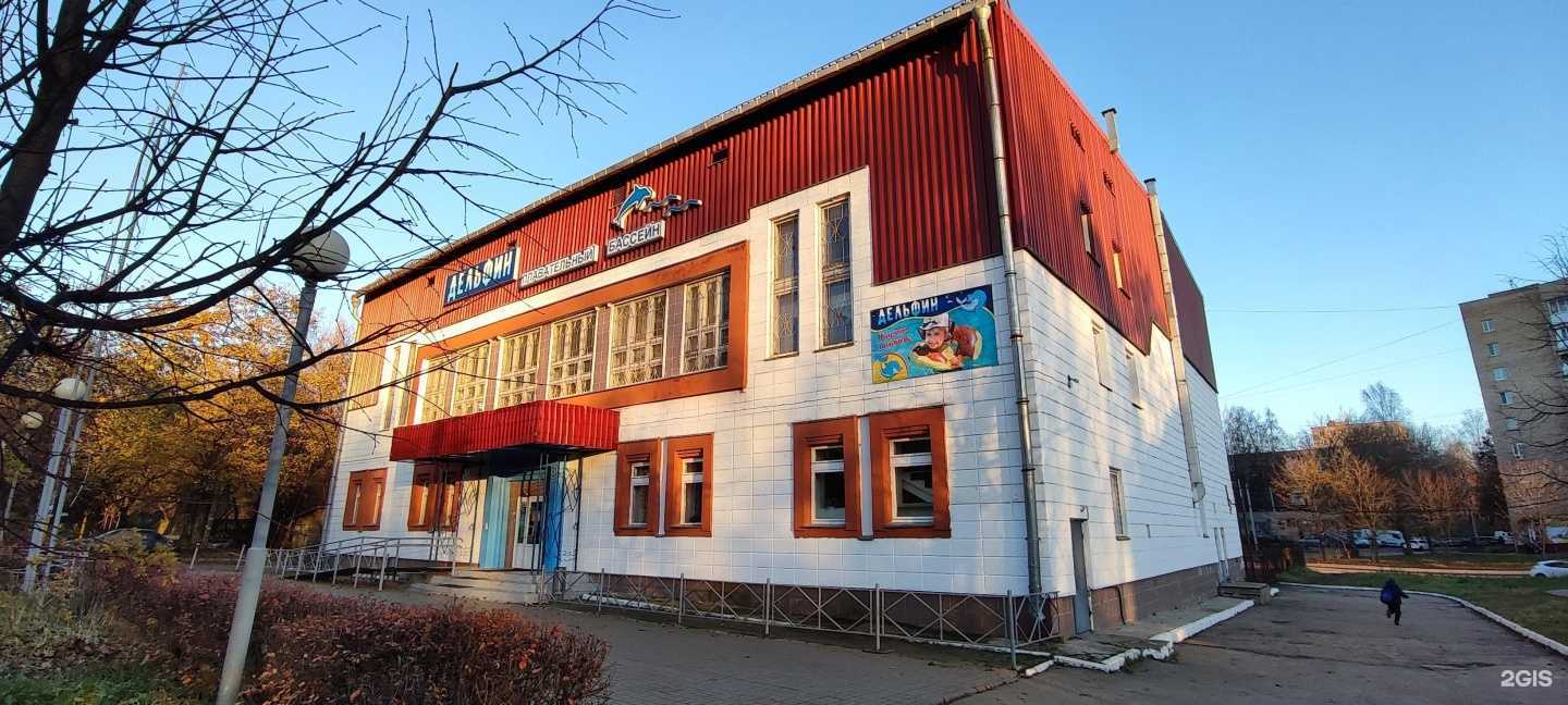 Отзывы на компанию Дельфин в Смоленске c фото