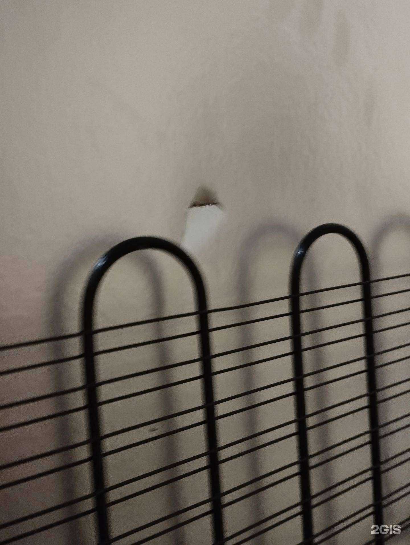 Отзывы на компанию RBT.ru в г. Южноуральск c фото