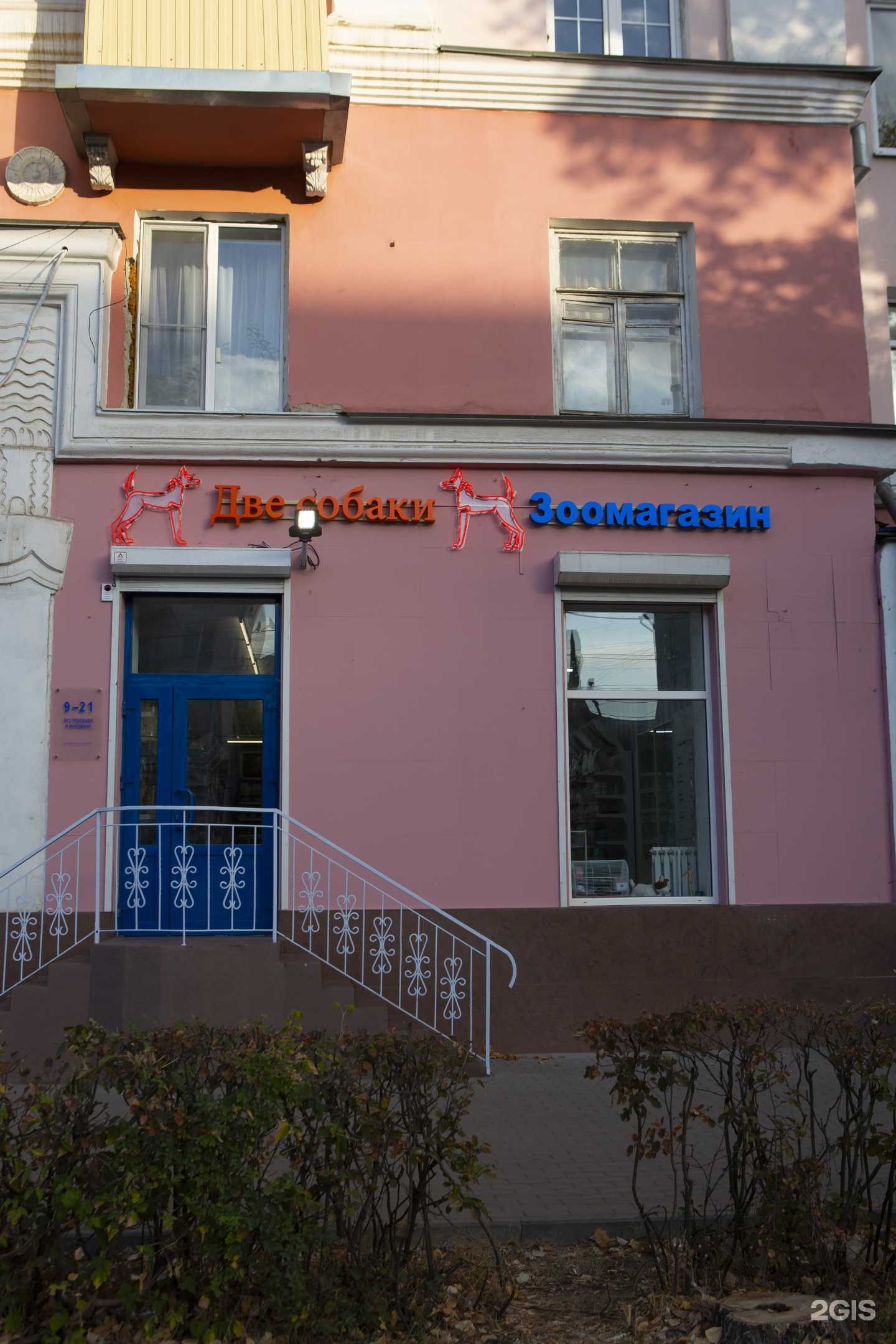 Отзывы на компанию Две собаки в Воронеже c фото