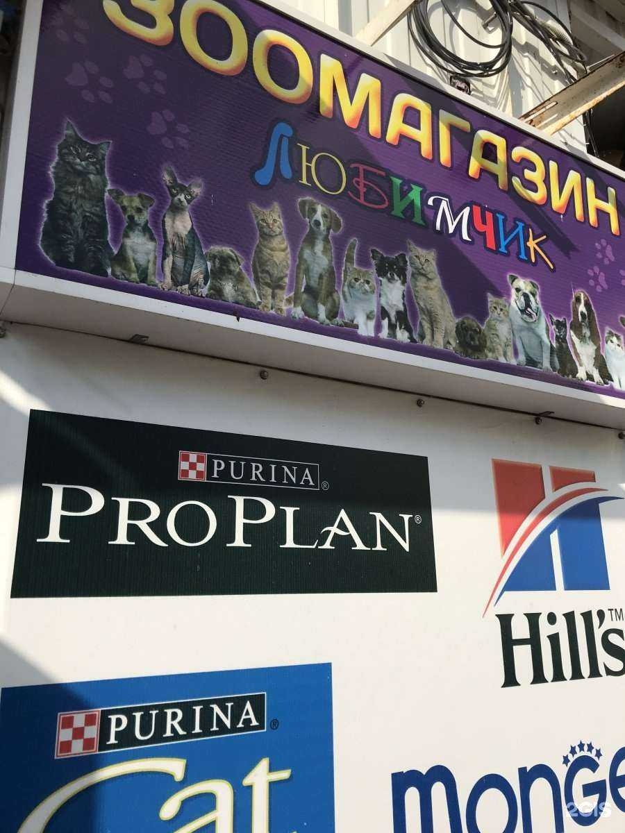 Отзывы на компанию Любимчик в г. Иваново c фото