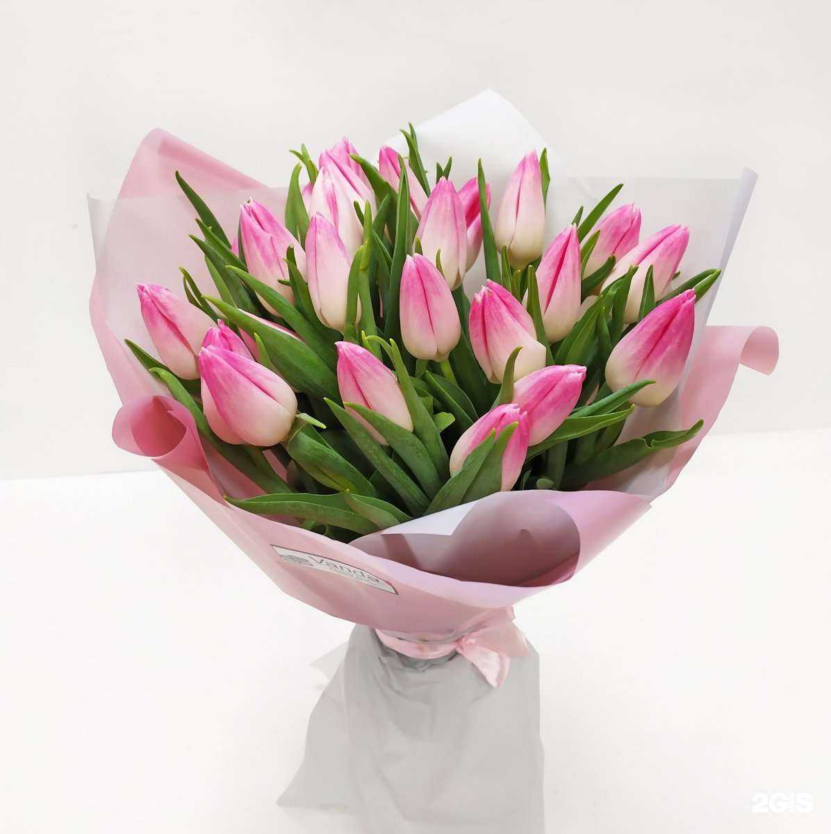 Отзывы на компанию Vanda в Челябинске c фото