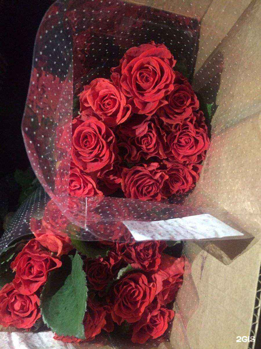 Отзывы на компанию Мокшанская Роза в Саратове c фото