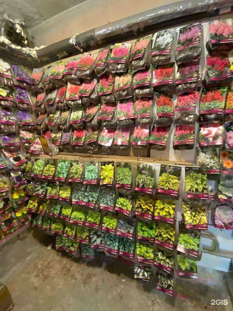 Отзывы на компанию Дом и сад в Петрозаводске c фото