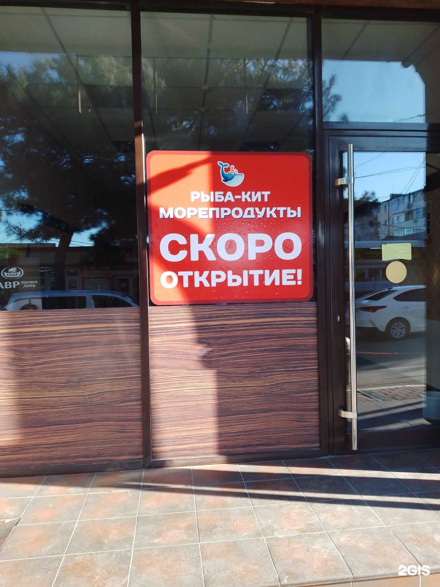 Отзывы на компанию Рыба-кит в Геленджике c фото