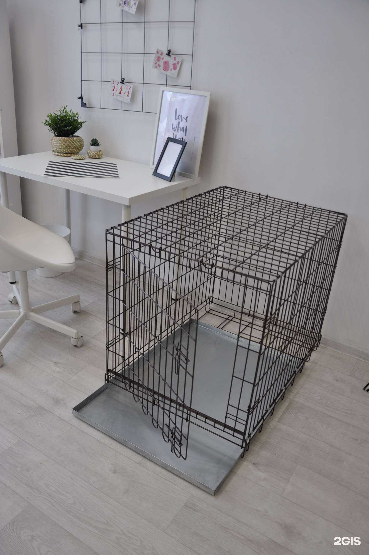 Отзывы на компанию Animal House в Бердске c фото