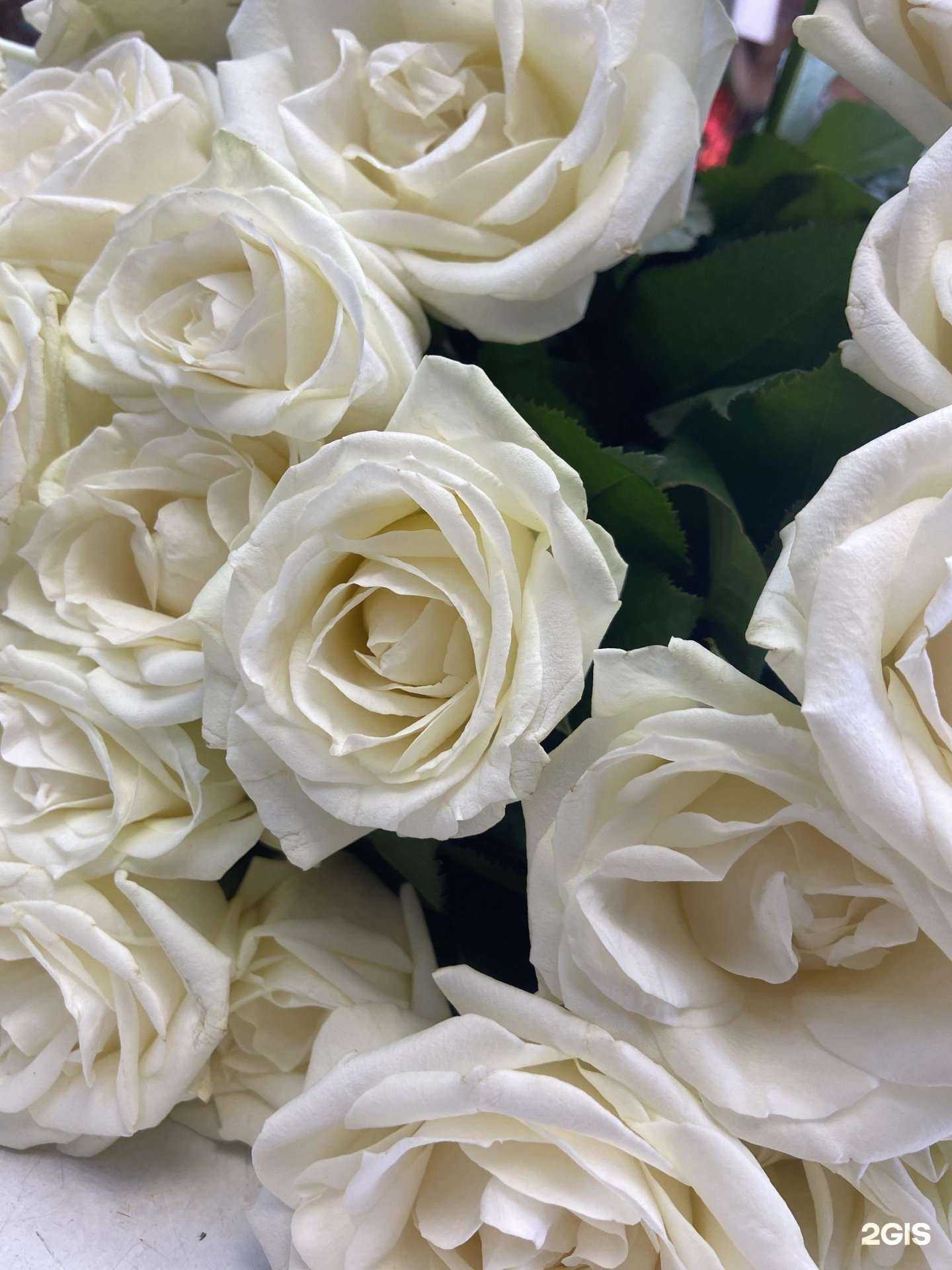 Отзывы на компанию Лябовь в Красноярске c фото - фотография 2 из 2