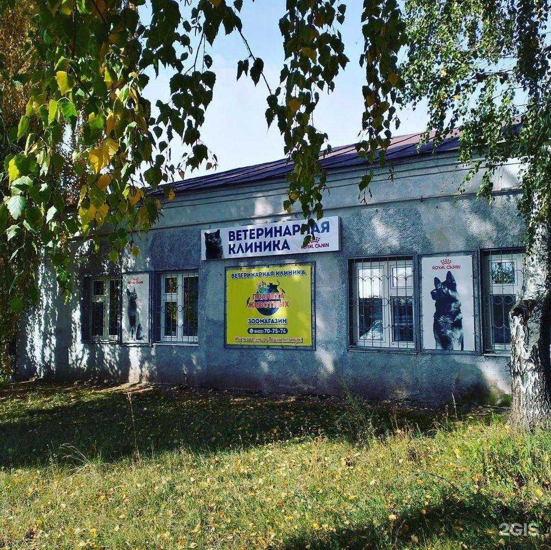 Отзывы на компанию Планета животных в Ульяновске c фото