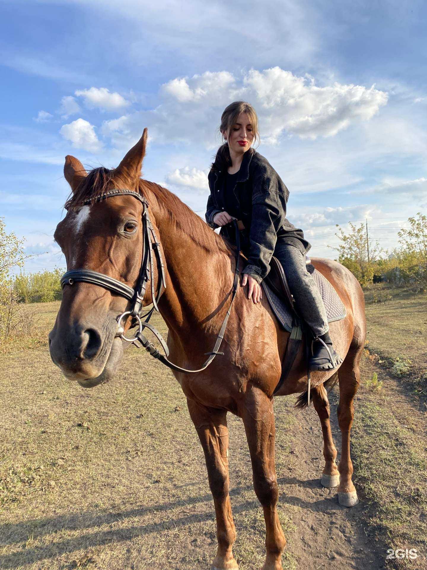 Отзывы на компанию Конноспортивный комплекс в Саранске c фото