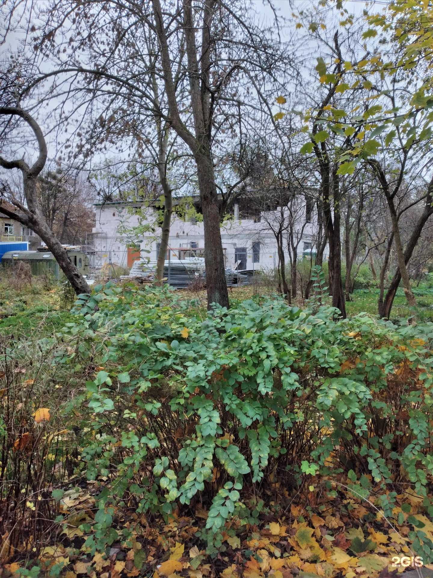 Отзывы на компанию Лидер Протезирования в г. Калининград c фото