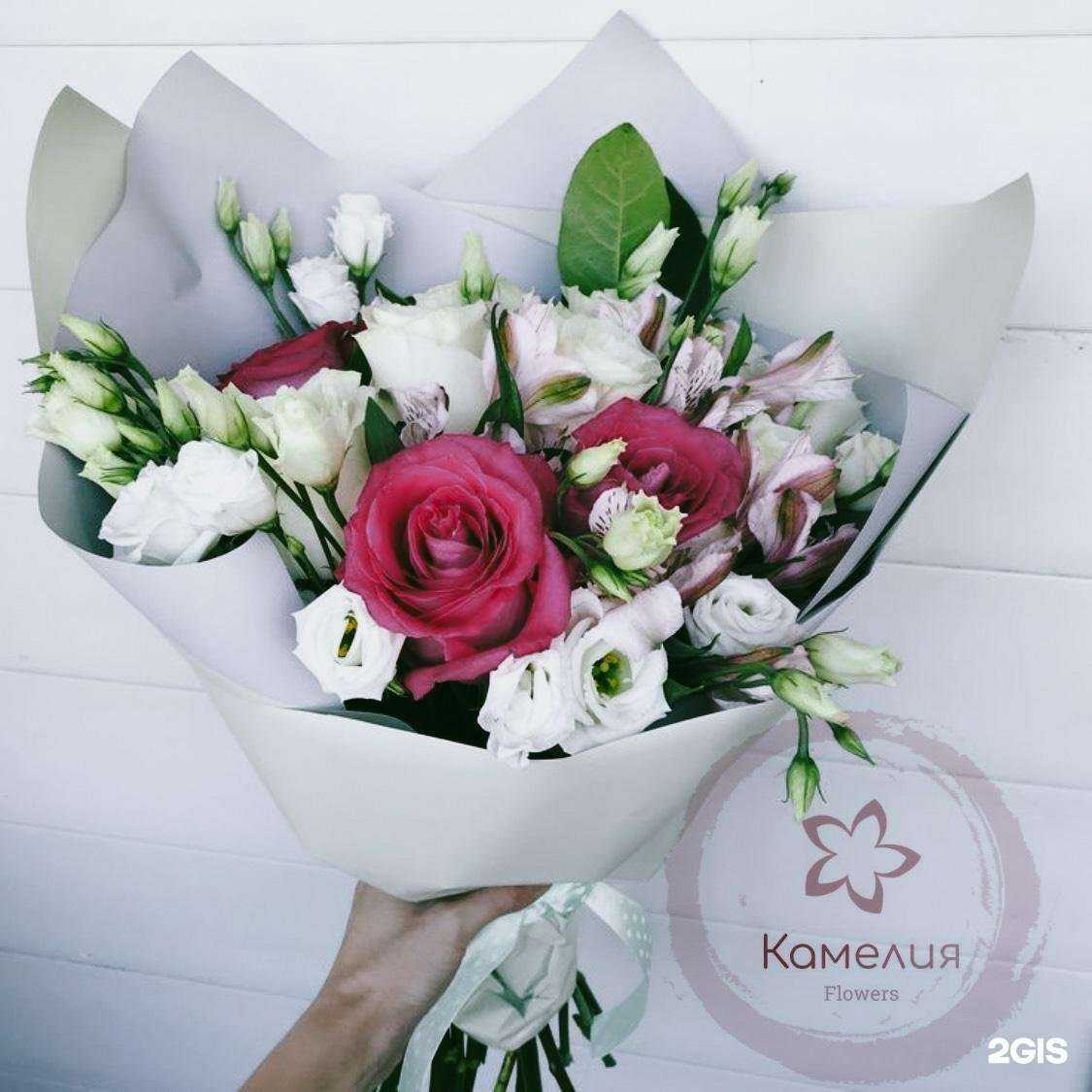 Отзывы на компанию Камелия в Челябинске c фото
