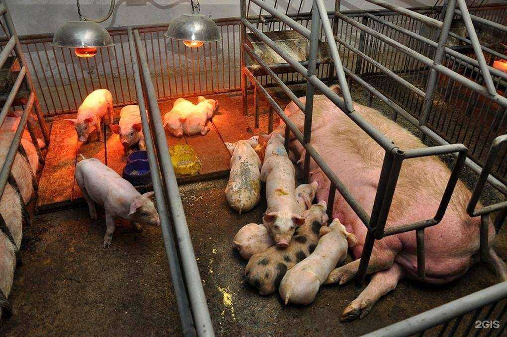 Отзывы на компанию Ратимир в г. Находка c фото