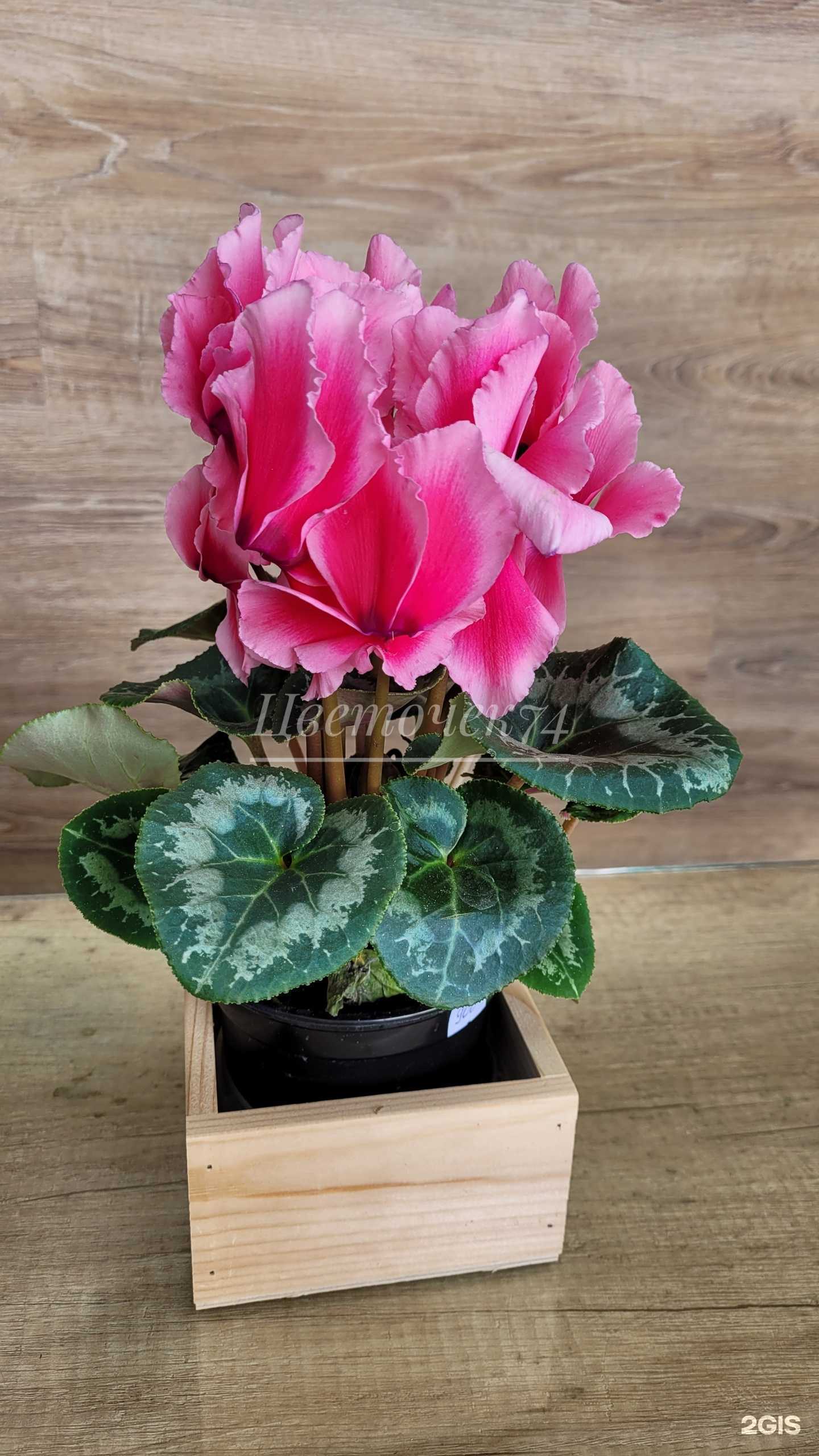 Отзывы на компанию Цветочек в Челябинске c фото