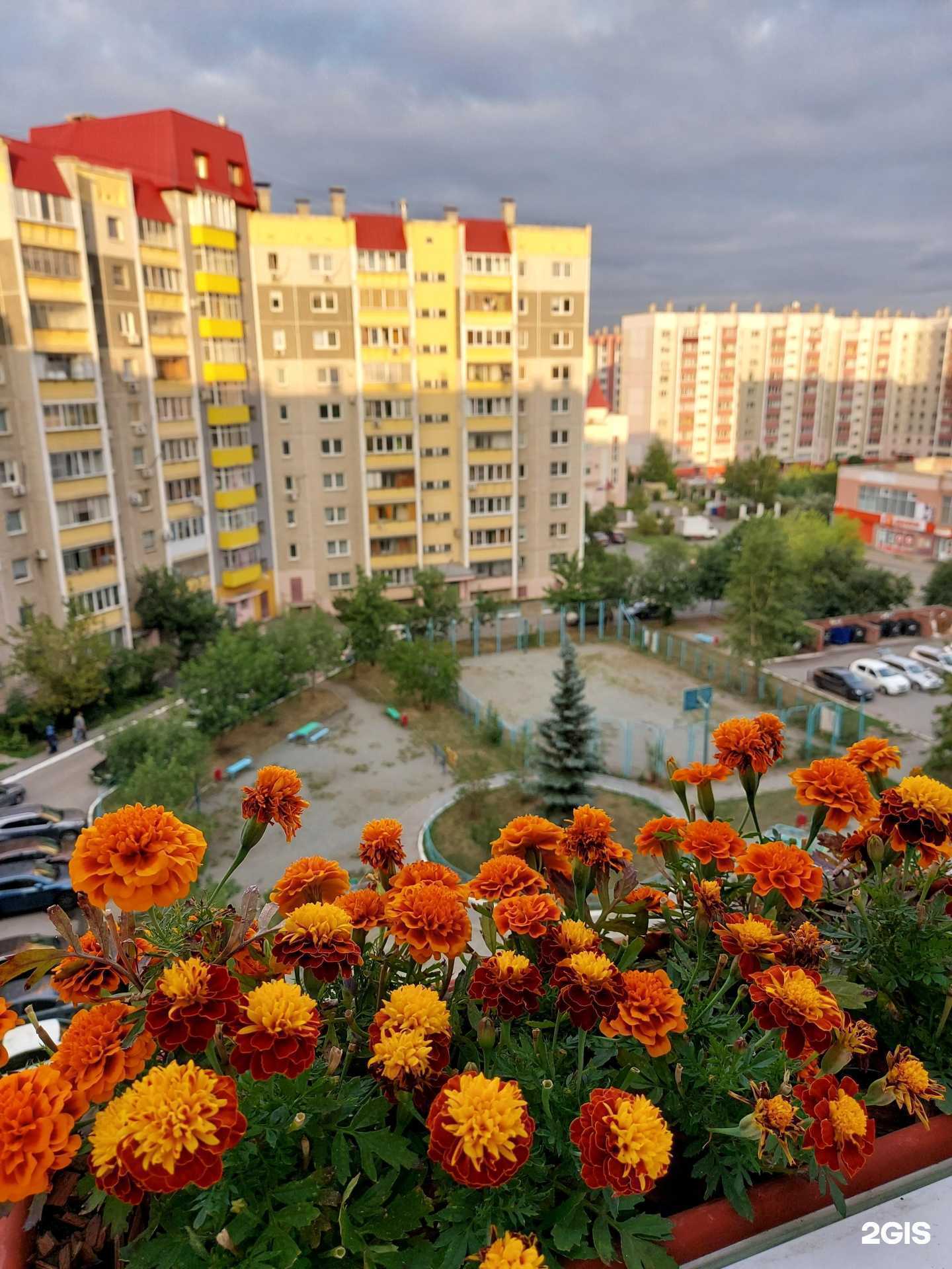 Отзывы на компанию Творчество в Челябинске c фото - фотография 2 из 2