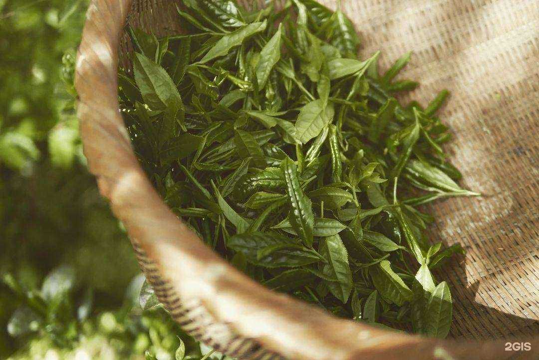 Отзывы на компанию Siberium в г. Красноярск c фото