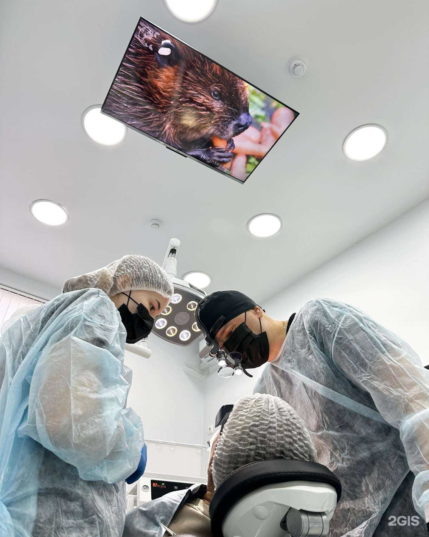 Отзывы на компанию Стоматологическая клиника Бондаренко в Анапе c фото