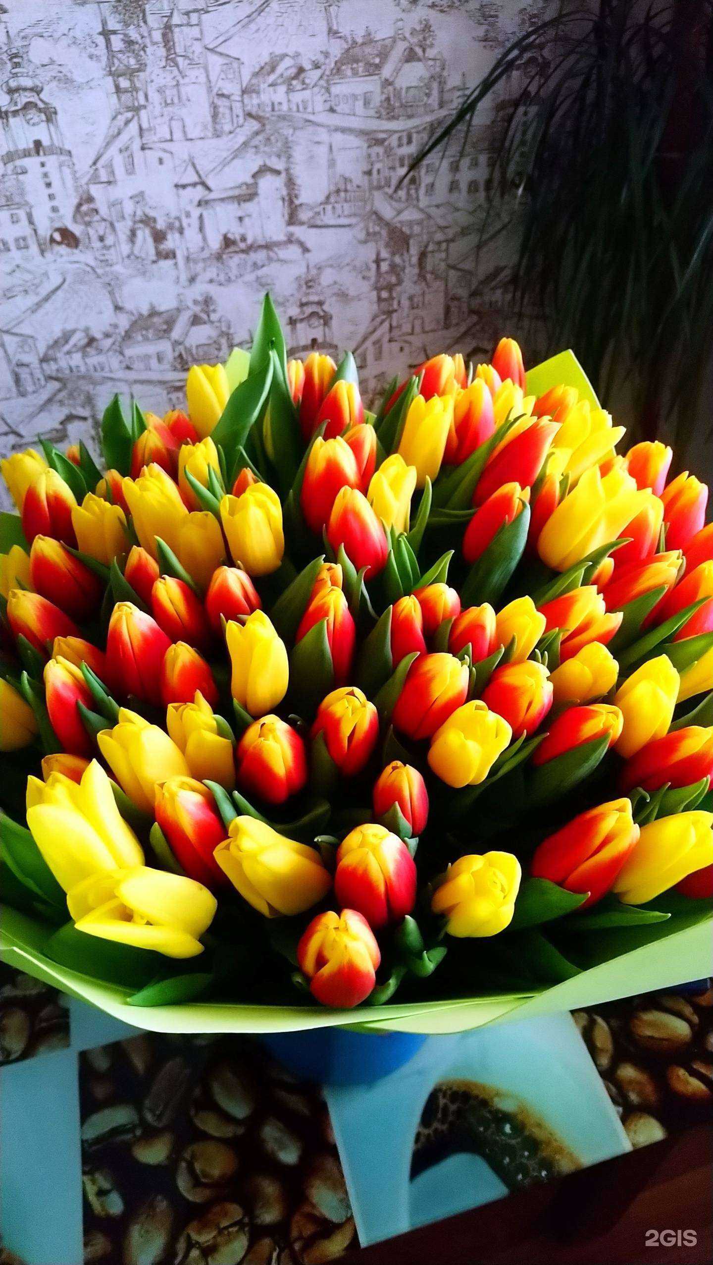 Отзывы на компанию Камелия в Омске c фото