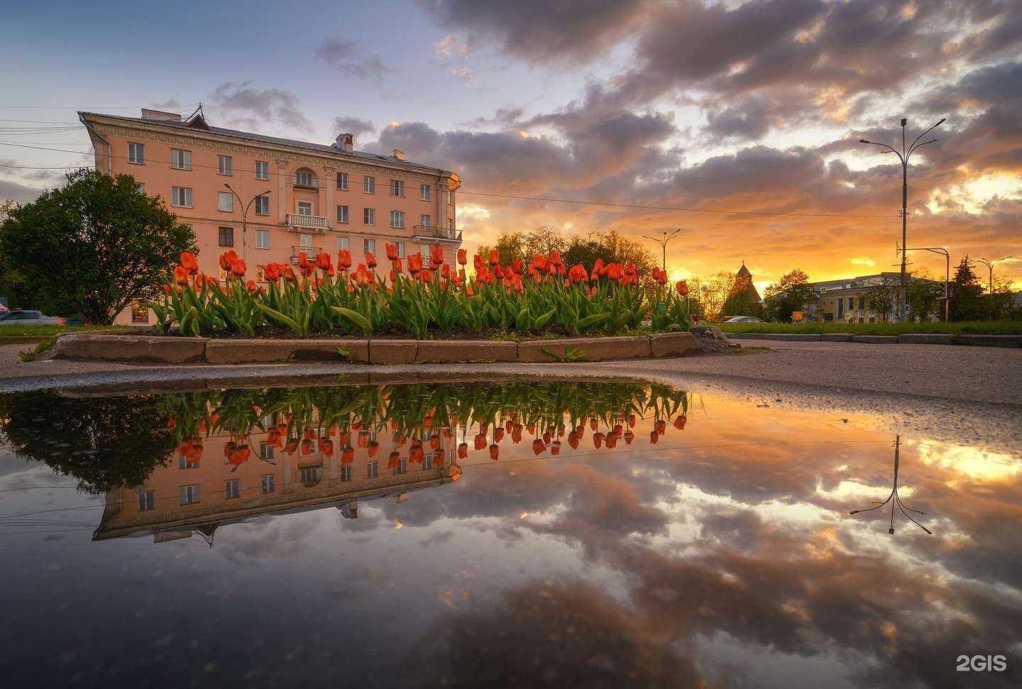 Отзывы на компанию Улыбка Радуги в Пскове c фото - фотография 2 из 2