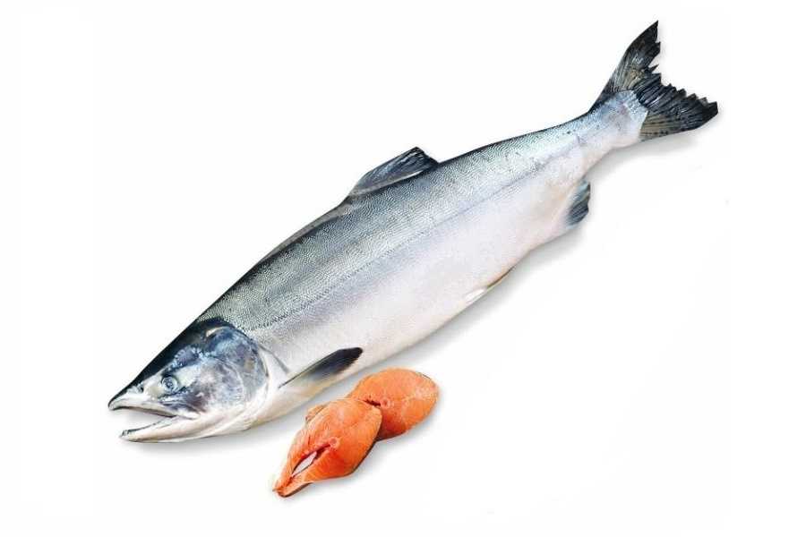 Отзывы на компанию Кузбассснаб в Новокузнецке c фото