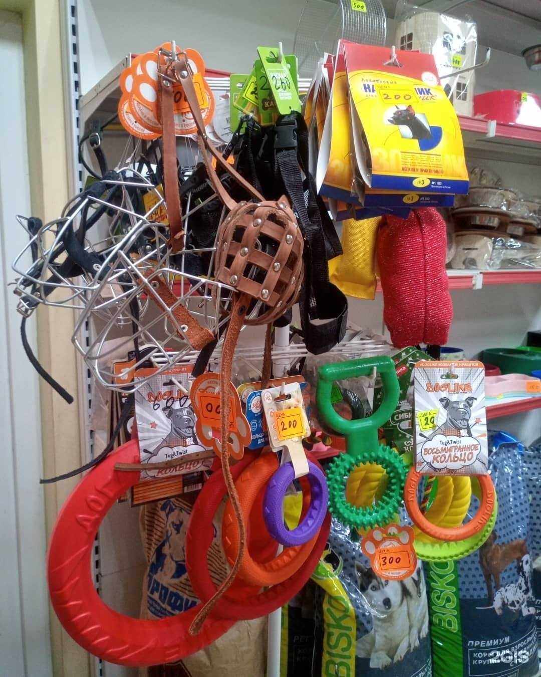 Отзывы на компанию Зоомир в г. Новочеркасск c фото