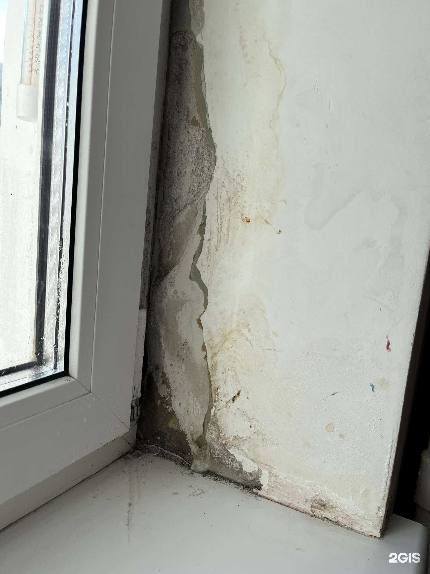 Отзывы на компанию ДСК в г. Якутск c фото