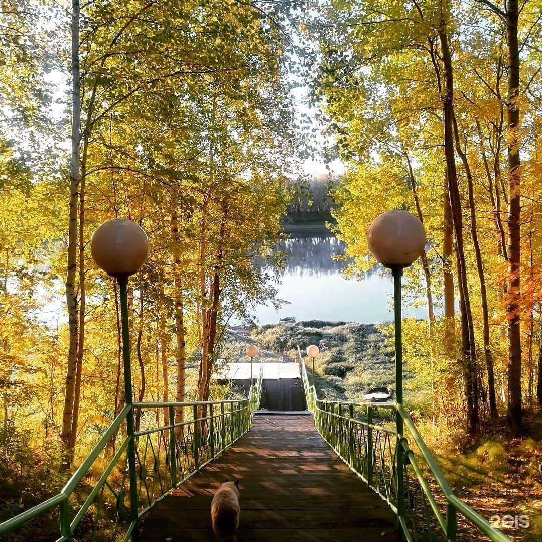 Отзывы на компанию Вах в г. Нижневартовск c фото