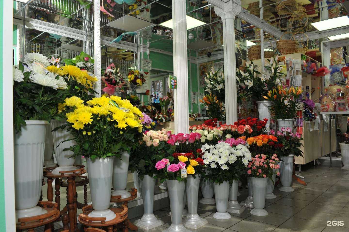 Отзывы на компанию Маргаритка в г. Иваново c фото