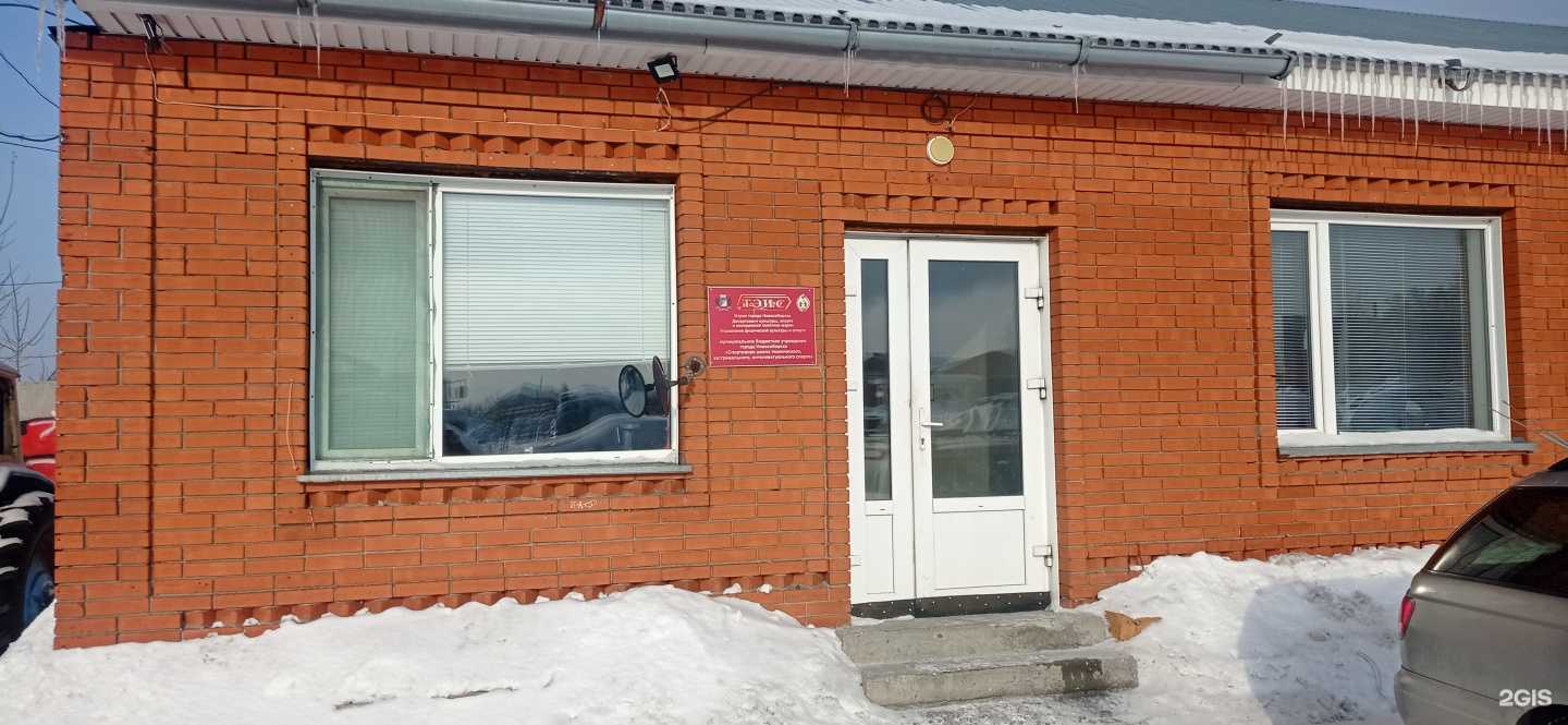 Отзывы на компанию Спортивная школа технического, экстремального, интеллектуального спорта в г. Новосибирск c фото