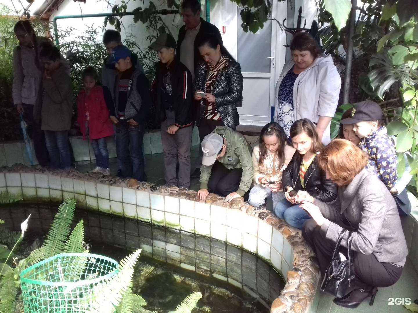 Отзывы на компанию Семья в г. Томск c фото