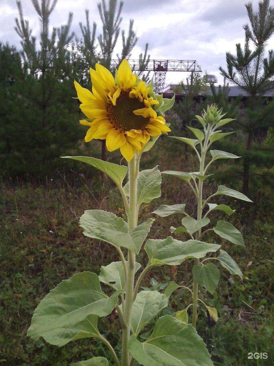 Отзывы на компанию Монтаж-техник в Златоусте c фото - фотография 2 из 2
