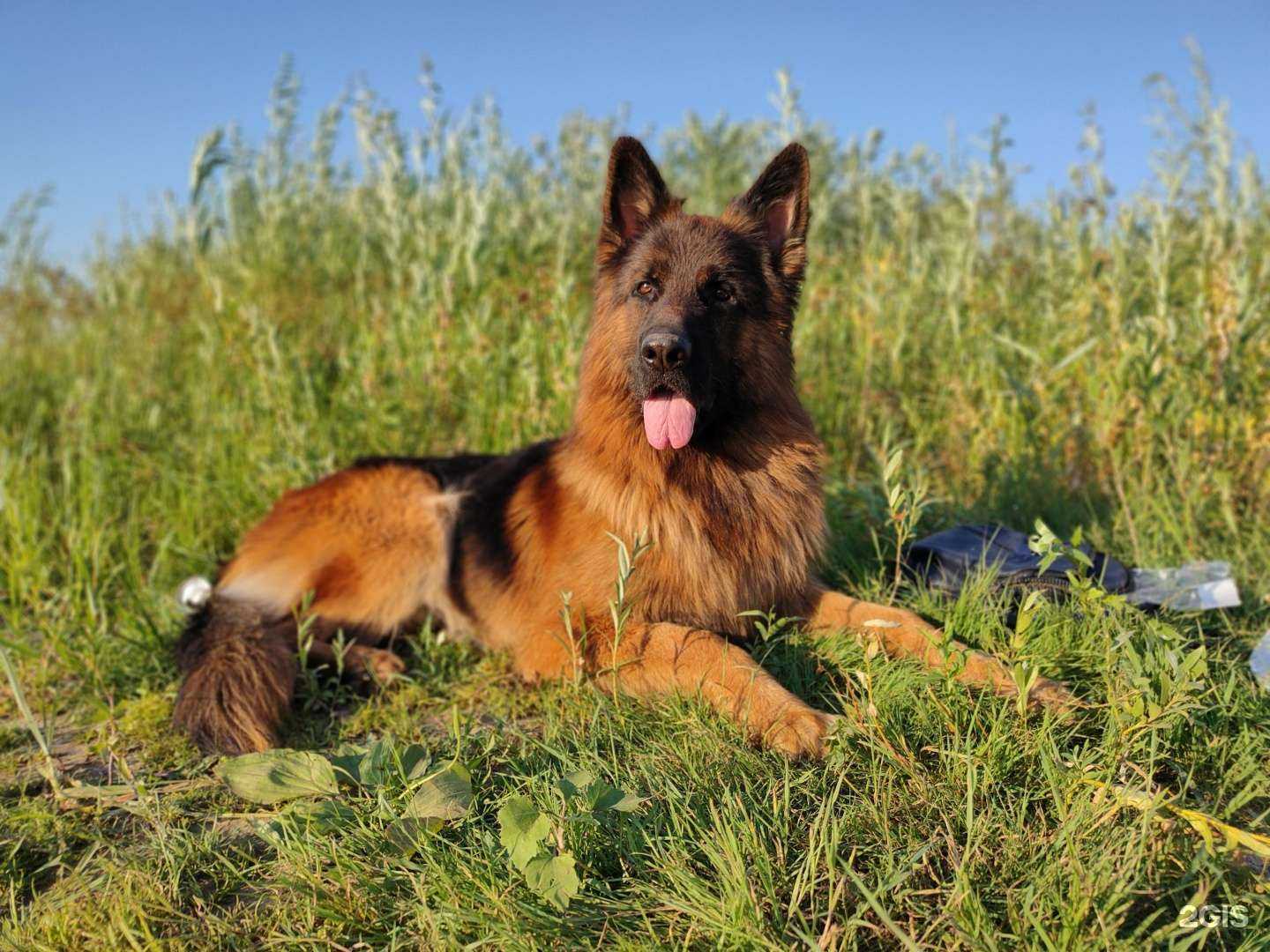 Отзывы на компанию Акела в Астрахани c фото