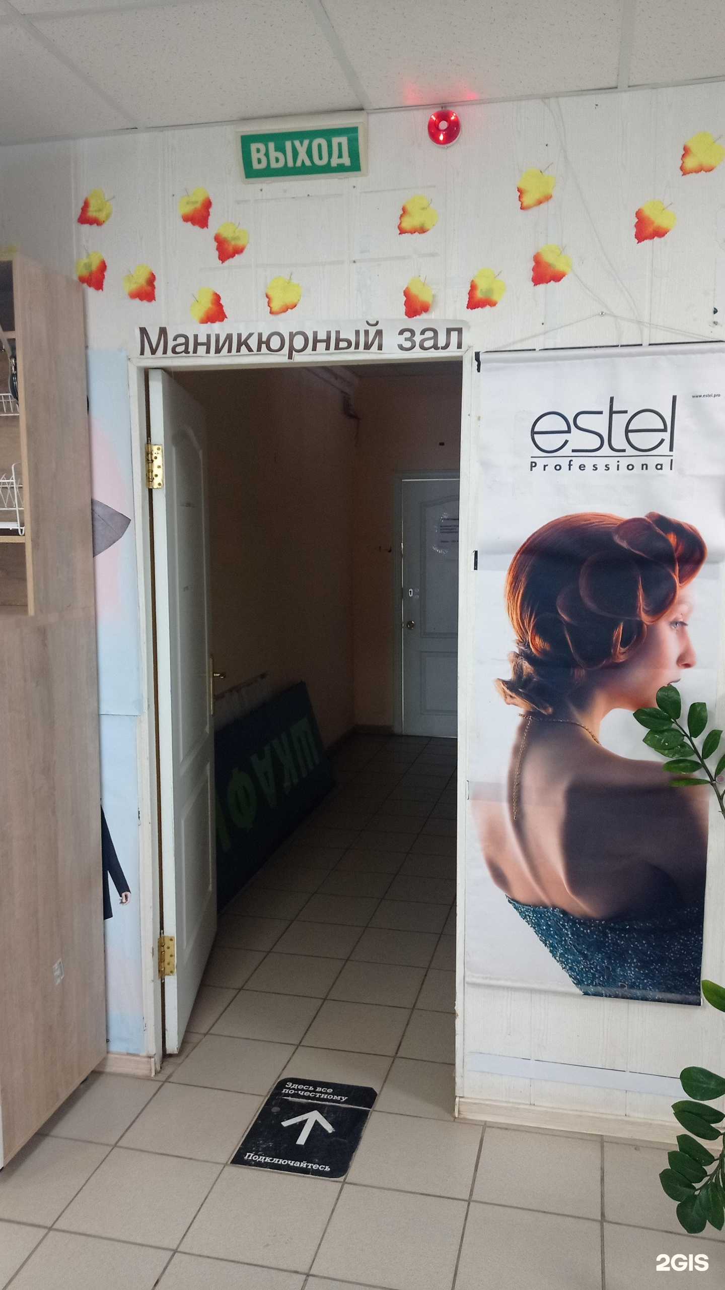 Отзывы на компанию AS studio в Альметьевске c фото