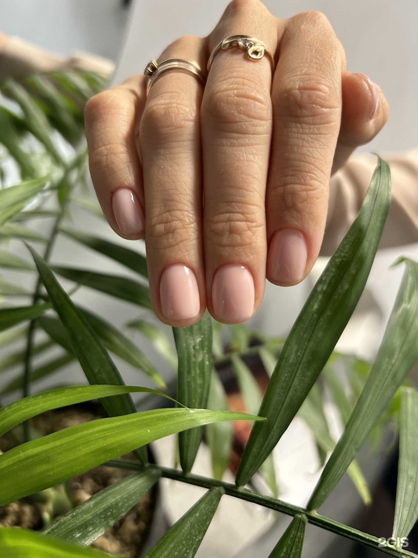 Отзывы на компанию More в Новосибирске c фото