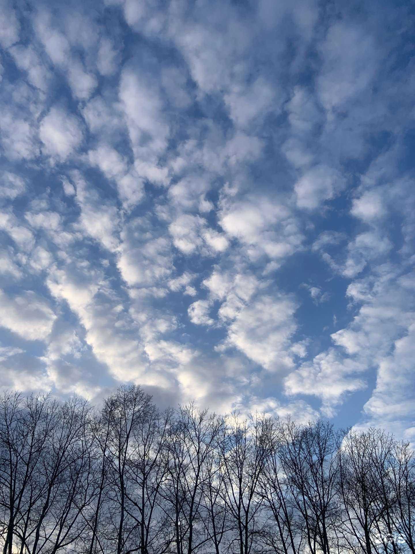 Отзывы на компанию Автомойка самообслуживания в Иркутске c фото