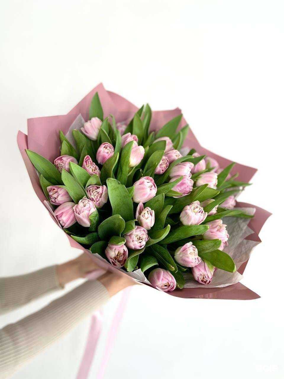 Отзывы на компанию Прованс в г. Йошкар-Ола c фото