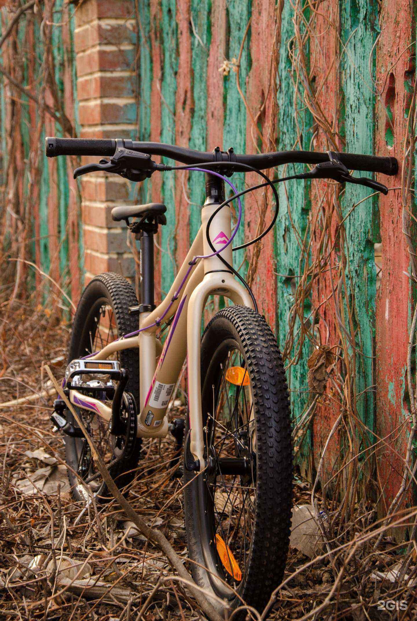 Отзывы на компанию ProBike в г. Саранск c фото