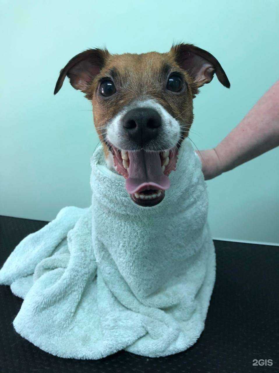 Отзывы на компанию Усатый Нянь в Казани c фото