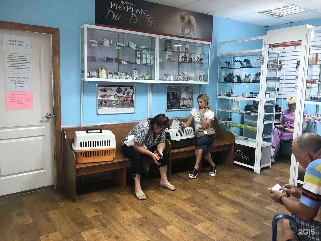 Отзывы на компанию Д.А.Р. в г. Владивосток c фото