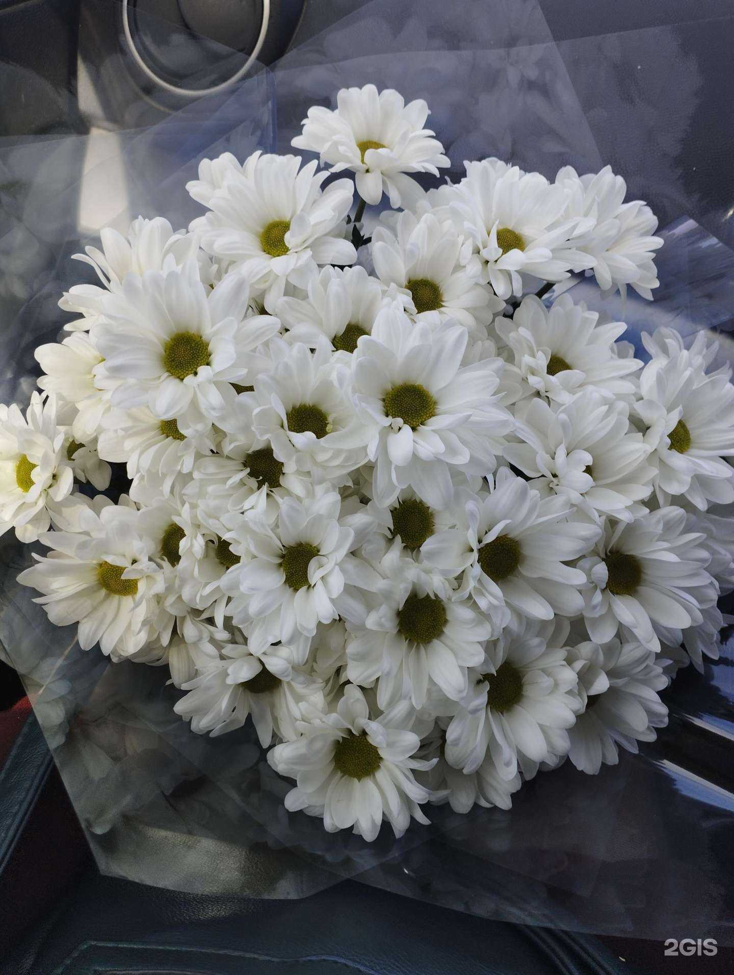 Отзывы на компанию Цветочный дискаунт в Хабаровске c фото