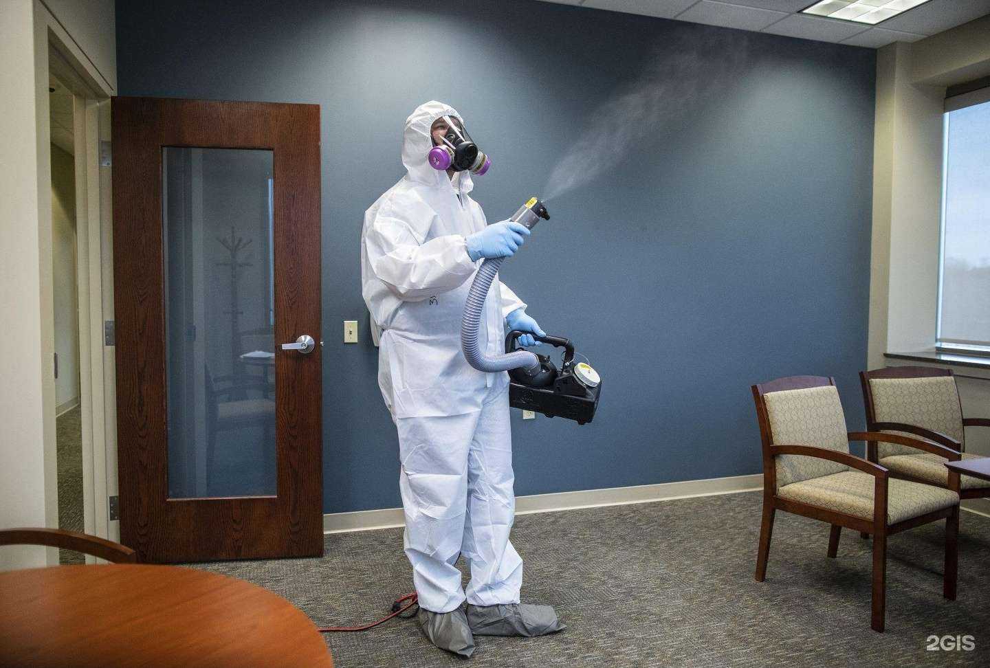 Отзывы на компанию Дез-Магнат в Барнауле c фото