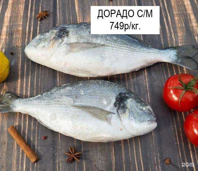 Отзывы на компанию Океан рыбы в г. Краснодар c фото